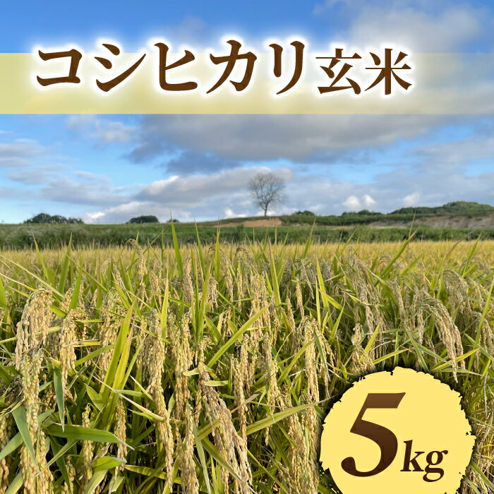 楽天市場】長野 県 特 a 米の通販 楽天市場】長野 県 特 a 米の通販