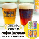 39位! 口コミ数「2件」評価「4.5」クラフトビール 飲み比べ 4本セット (ゴールデンエール2本・アンバーエール1本・ヌーベルセゾン1本) NEWオラホビール 詰め合わせ お酒･･･ 