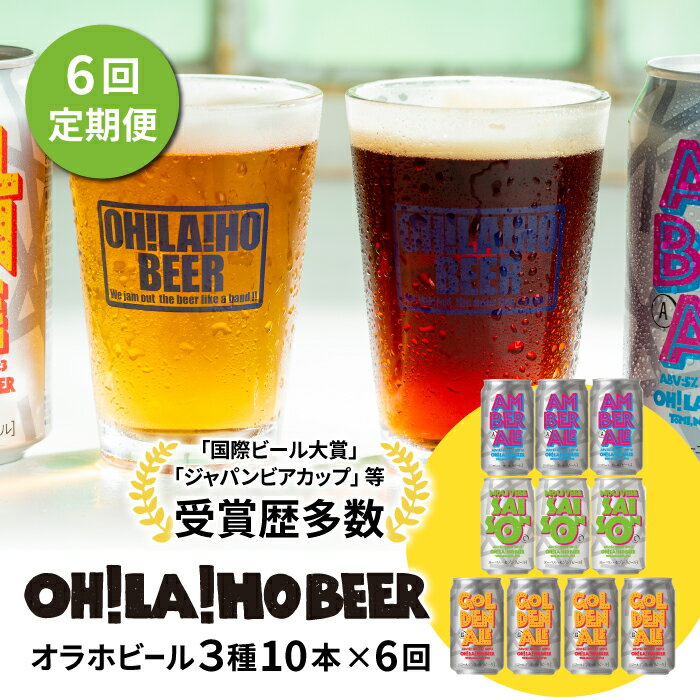 【ふるさと納税】【6回定期便】オラホビール10本(3種合計10本)ビール 地ビール クラフトビール 350ml 350 10本 10缶 飲み比べ 長野県 長野 ...