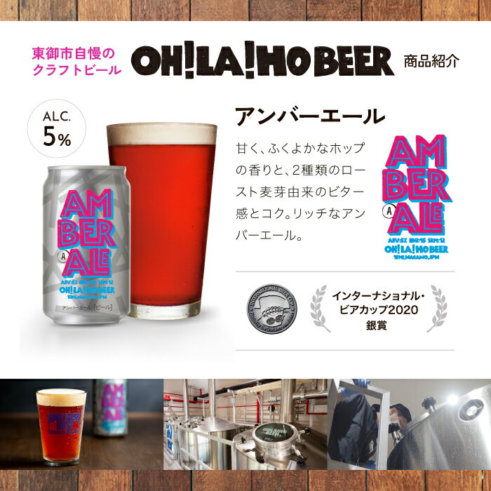 【ふるさと納税】クラフトビール アンバーエール...の紹介画像3