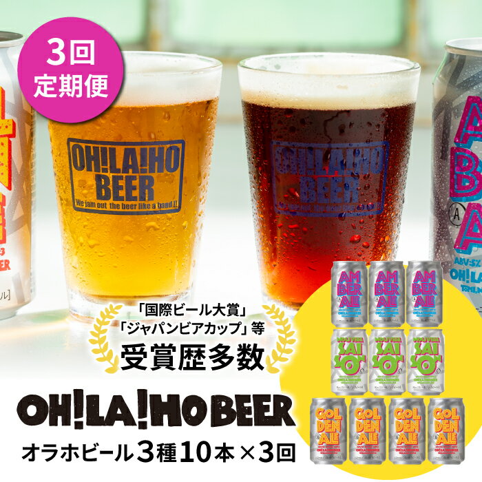 [3回定期便]オラホビール10本(3種合計10本)ビール 地ビール クラフトビール 350ml 350 10本 10缶 飲み比べ 長野県 長野 東御市 信州 ギフト プレゼント 常温