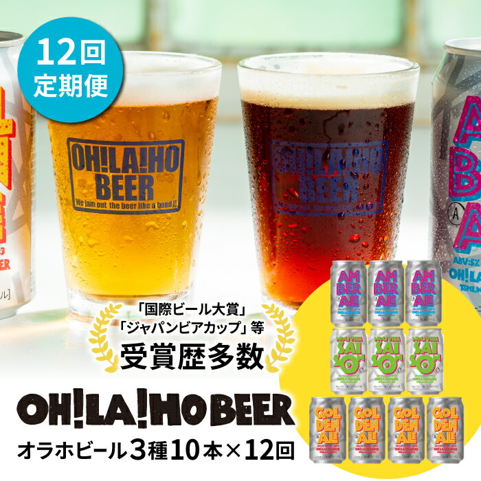【ふるさと納税】【12回定期便】オラホビール10本(3種合計10本) ビール 地ビール クラフトビール 350ml 350 10本 10缶 飲み比べ 長野県 長...