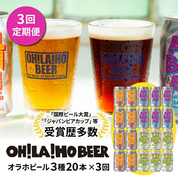 【ふるさと納税】【3回定期便】オラホビール20本（3種合計20本）ビール 地ビール クラフトビール 350ml 350 20本 20缶 飲み比べ 長野県 長野 東御市 信州 ギフト プレゼント 常温