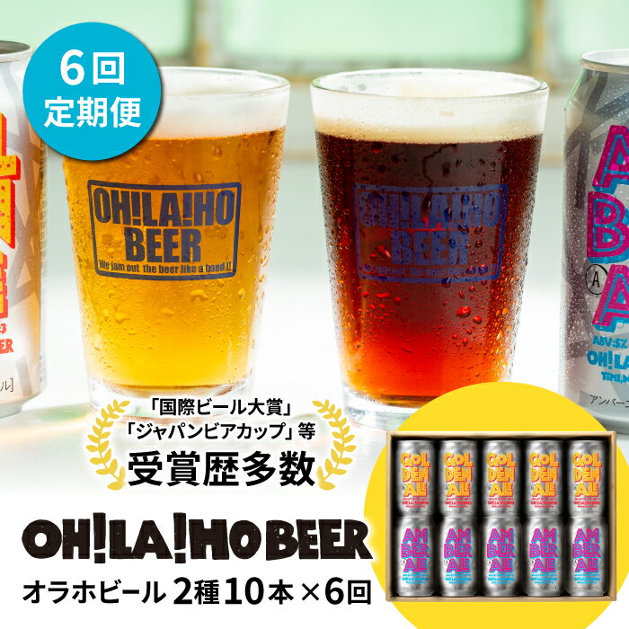 クラフトビール 定期便 (6回) 飲み比べ 10本セット (ゴールデンエール・アンバーエール) オラホビール 詰め合わせ お酒 地ビール ギフト プレゼント お歳暮 お中元 父の日 長野県東御市