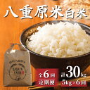 【ふるさと納税】令和7年新米予約【6回定期便】八重原米5kg(5kg×1袋)白米 ※2025年10月以降順次発送|笹屋農園「農薬削減長野県認証取得」