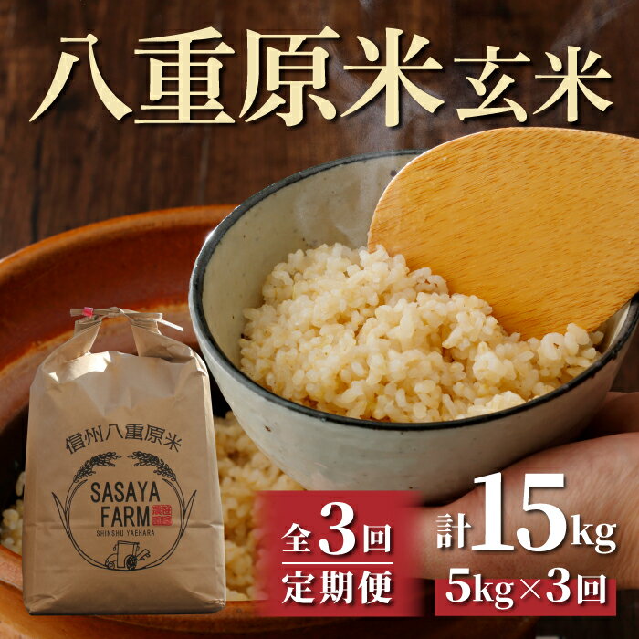 【ふるさと納税】（3回定期便）八重原米 玄米 5kg (5kg×1袋) お米 コシヒカリ 美味しい 甘い 長野県東御市