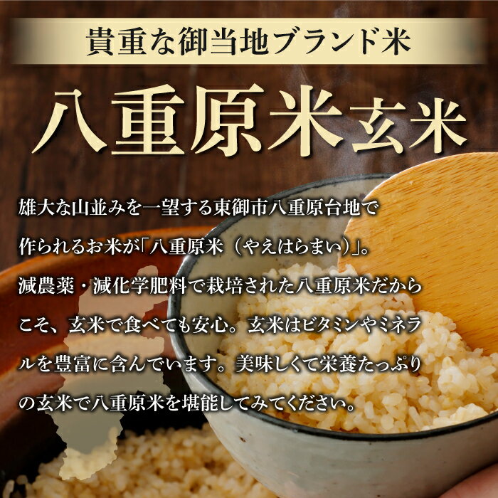 【ふるさと納税】（3回定期便）八重原米 玄米 6kg (2kg×3袋) お米 コシヒカリ 美味しい 甘い 長野県東御市