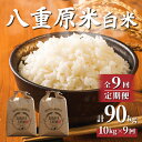 （9回定期便）八重原米 精米 10kg (5kg×2袋) お米 コシヒカリ白米 美味しい 甘い 長野県東御市