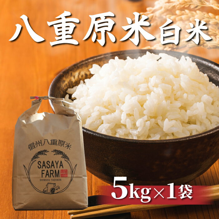 【ふるさと納税】八重原米 精米 5kg (5kg×1袋) お米 コシヒカリ白米 美味しい 甘い ギフト お中元 お歳暮 自宅用 家庭用 国産長野県東御市