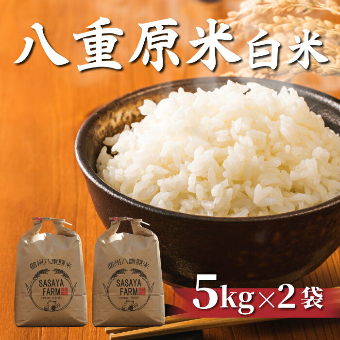 【ふるさと納税】八重原米 精米 10kg (5kg×2袋) お米 コシヒカリ白米 美味しい 甘い ギフト お中元 お...