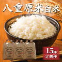 【ふるさと納税】令和7年新米予約【定期便】八重原米15kg(5kg×3袋)白米 ※2025年10月以降順次発送|笹屋農園「農薬削減長野県認証取得」