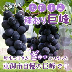 【ふるさと納税】東御市産 種あり 巨峰 約2kg ぶどう 葡萄 グレープ フルーツ 果物 ギフト 甘い 美味しい クール便 冷蔵 お取り寄せ 贅沢 国産 信州 長野県東御市【秋お届け】･･･ 画像1