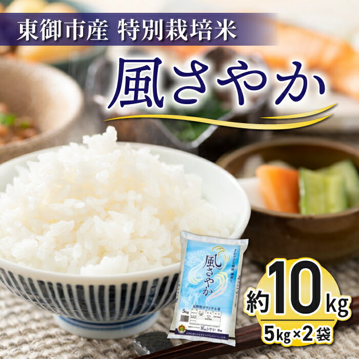 令和5年産米新米予約!東御市産 特別栽培米「風さやか」約10kg 新米 お米 こめ 白米 美味しい 甘い ギフト お中元 お歳暮 自宅用 家庭用 国産 長野県東御市[11月下旬発送開始]