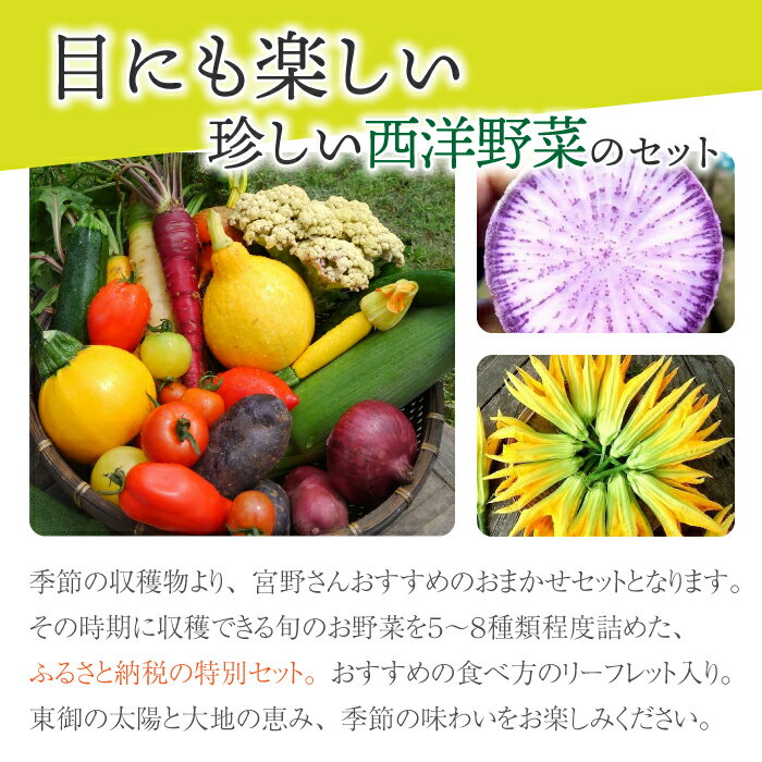 【ふるさと納税】【アグロノーム】季節のお野菜セット（お一人様向け）｜5〜8種類の野菜詰め合わせ