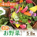 【ふるさと納税】【4回定期便】季節のお野菜セット(2~3人様向け)|アグロノーム※2026年1月以降発送