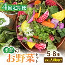 【ふるさと納税】【4回定期便】お試し季節のお野菜セット(お一人様向け)|アグロノーム※2026年1月以降発送