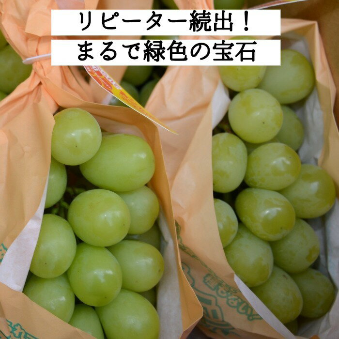 【ふるさと納税】東御市産 シャインマスカット 2房 ぶどう 葡萄 マスカット 家庭用 お取り寄せ ギフト フルーツ 果物 甘い 美味しい 国産 信州 長野県東御市 【秋お届け】