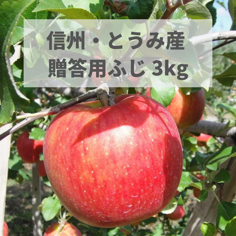 長野県東御市産 りんご 約3kg ふじ リンゴ 林檎 果物 くだもの フルーツ ギフト 季節商品 家庭用 自宅用 常温 甘い おいしい 信州 ※11月下旬～12月中旬頃に順次発送予定