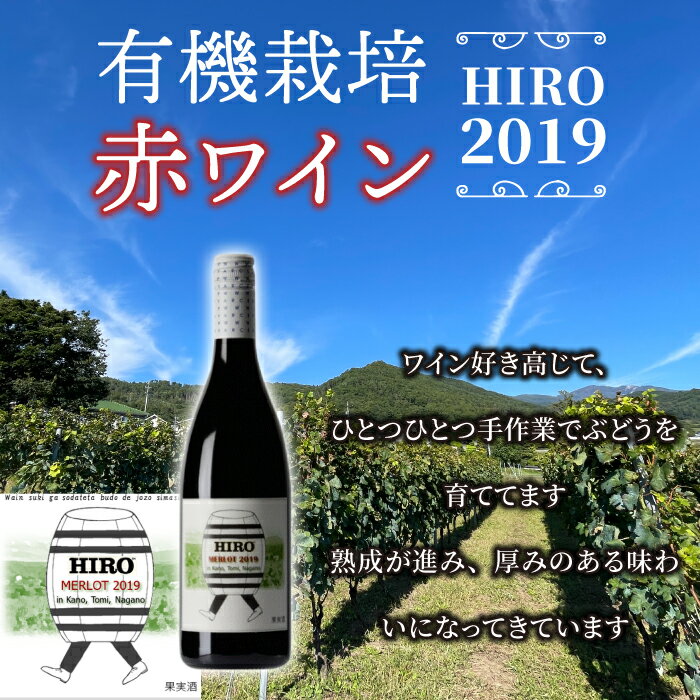 【ふるさと納税】東御市産赤ワイン HIRO 2019 赤 お酒 果実酒 瓶 国産 信州 長野県東御市