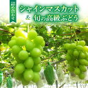 【ふるさと納税】シャインマスカット&高級ぶどう詰め合わせ ご贈答品(月曜、火曜、金曜発送限定、発送曜日指定不可)