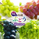 【ふるさと納税】旬の高級ぶどう詰め合わせ ご贈答品 (月、火、金曜日発送限定。発送日、発送曜日指定不可)