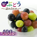 【ふるさと納税】旬の高級ぶどう 粒ぶどうの詰め合わせ 400g(月、火、金曜日発送限定。発送日、発送曜日指定不可)