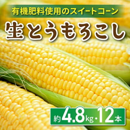 有機肥料使用のスイートコーン！ 生とうもろこし 2L 12本 長野県東御市産 ※7月下旬から順次発送開始