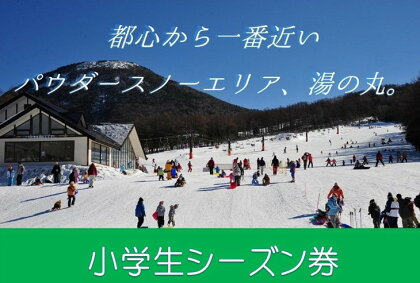 湯の丸スキー場 小学生シーズン券