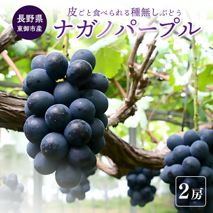 【ふるさと納税】（先行予約）東御市産 ナガノパープル 2房 ぶどう 葡萄 マスカット 家庭用 お取り寄せ ギフト フルーツ 果物 甘い 美味しい 常温 国産 信州 長野県東御市 【8月下旬～9月下旬頃発送】のサムネイル