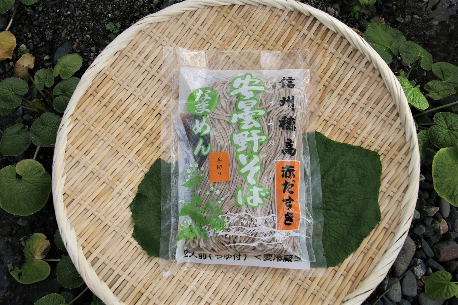 【ふるさと納税】藤屋わさび農園　生わさびとそばセット【生わさび 山葵 ワサビ 辛味 蕎麦 ソバ 生そば おろし金 卸金 下ろし金 水 名水 香り 信州 長野県 安曇野 安曇野市】