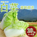 【ふるさと納税】【産地直送】信州の冷涼な高原で育った白菜 10kg(4玉〜5玉)【配送不可地域:離島】【1609886】