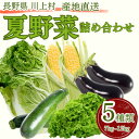【ふるさと納税】【訳アリ】信州の冷涼な高原で育った 夏野菜詰め合わせ(5種類以上)【配送不可地域:離島】【1609889】