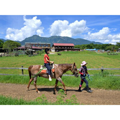 【ふるさと納税】【長野県野辺山高原】滝沢牧場の手作りアイスクリーム　120ml×12個入【配送不可地域：離島】【1262873】