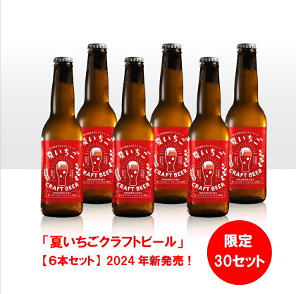 夏いちごクラフトビール（6本）〜限定30セット、先行予約（7月以降出荷）〜　甘味料不使用の甘くないクラフトビール。夏いちごの爽やかな酸味と香りをお楽しみください。少量販売の為、南相木村内と周辺一部地域のみで販売しています。