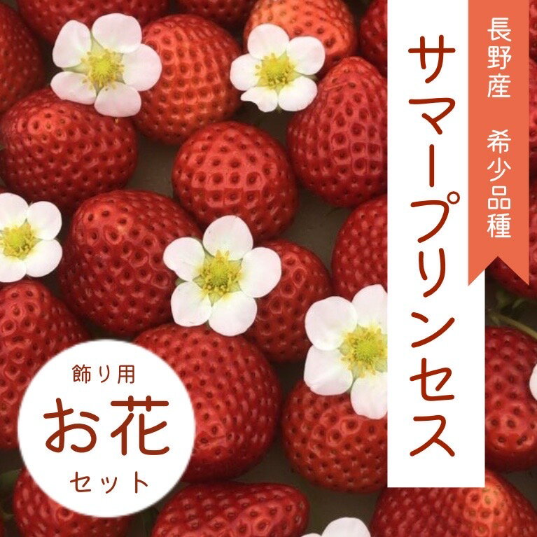 【ふるさと納税】希少な夏秋いちご『サマープリンセス』大空夏いちご農園「サマープリンセス（2パック）」