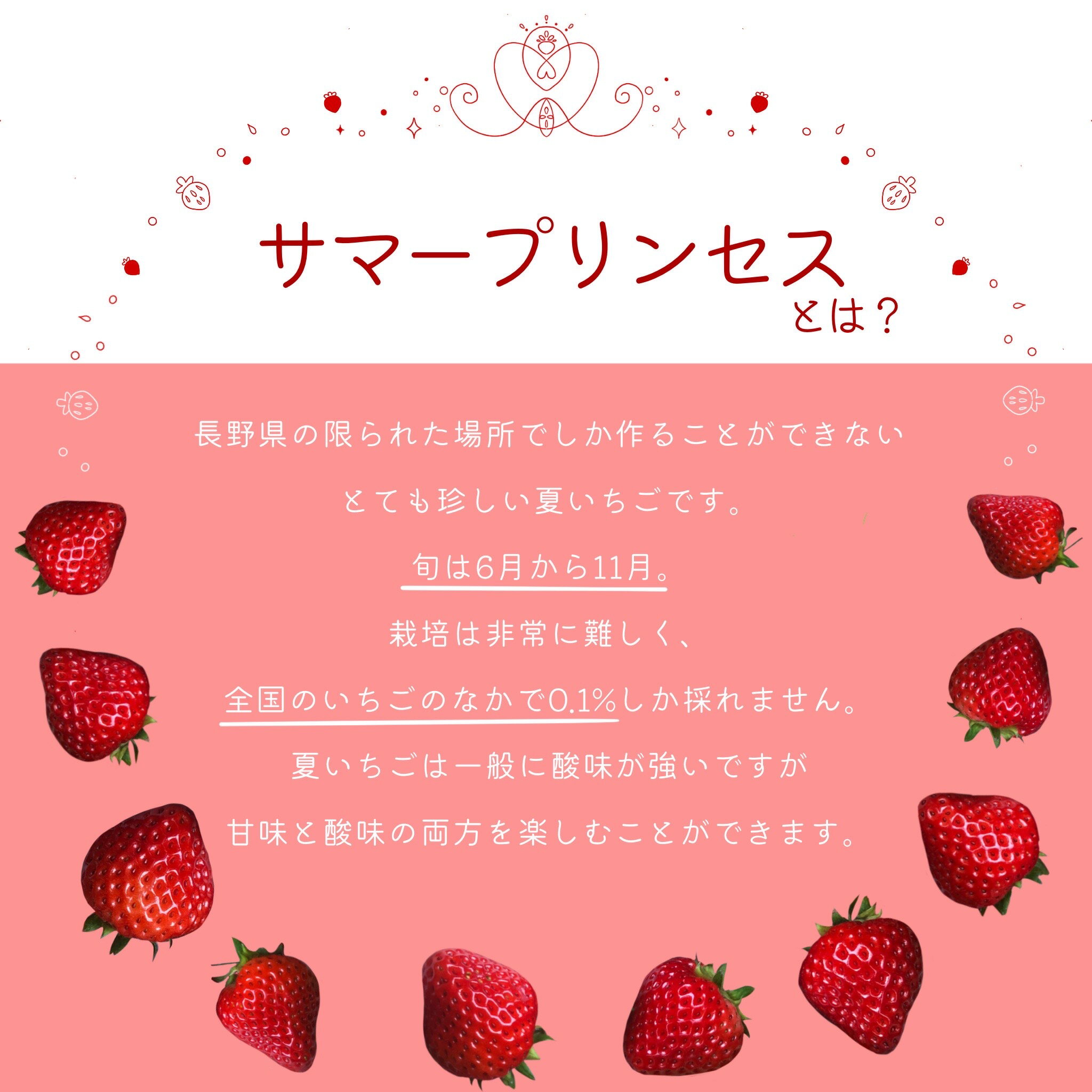 【ふるさと納税】希少な夏秋いちご『サマープリンセス』大空夏いちご農園「サマープリンセス（2パック）」