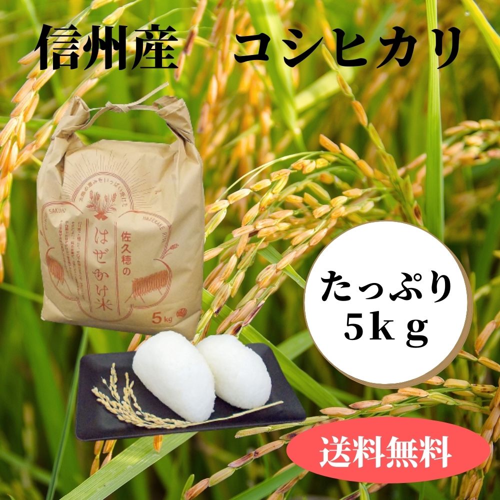 令和5年産 コシヒカリ5kg 太陽の恵みをいっぱいに受けた佐久穂の「はぜかけ米」 信州米 おいしいお米 〔CH-08〕