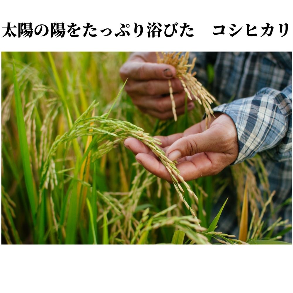 【ふるさと納税】令和5年産　コシヒカリ5kg　太陽の恵みをいっぱいに受けた佐久穂の「はぜかけ米」　信州米　おいしいお米　〔CH-08〕