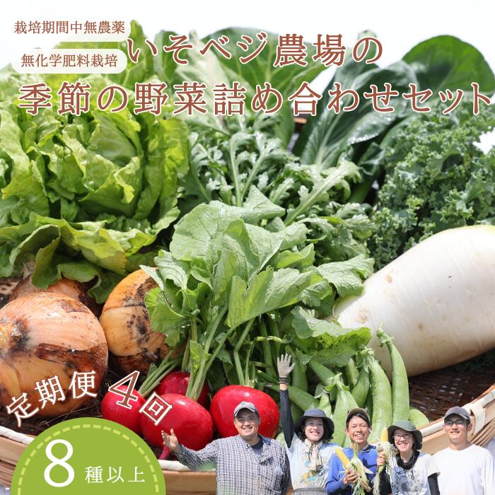 【ふるさと納税】定期便　4回　野菜　送料無料　野菜詰め合わせ