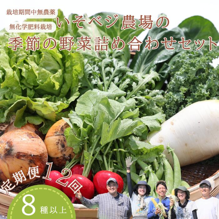 定期便　12回　野菜　送料無料　野菜詰め合わせセット　無農薬無化学肥料栽培　旬の野菜セット　季節の野菜詰め合わせセット　いそベジ農場〔IV-12〕