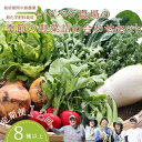 【ふるさと納税】いそベジ農場の季節の野菜詰め合わせセット 定期便12回(IV-T506)