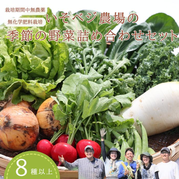 楽天長野県佐久穂町【ふるさと納税】送料無料　野菜詰め合わせセット　無農薬無化学肥料栽培　旬の野菜セット　季節の野菜詰め合わせセット　　IV-01　いそベジ農場