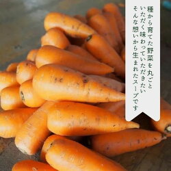 【ふるさと納税】玄米と野菜の無添加レトルトスープ15個入り（かぼちゃ・じゃがいも・にんじん3種類×5）〔NK-03〕 画像1