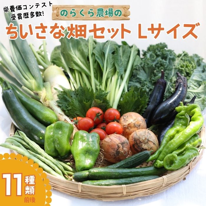 31位! 口コミ数「0件」評価「0」信州北八ヶ岳からお届け～ちいさな畑セット～（Lサイズ　3～4人前）有機野菜〔NK-02〕