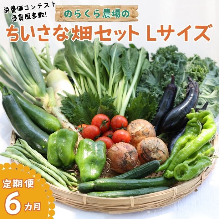【ふるさと納税】●先行受付・2025年発送 定期便6カ月 ちいさな畑セット(Lサイズ 3~4人前)(NK-T508)