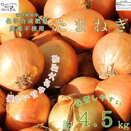 栄養価コンテスト受賞歴多数！のらくら農場のこだわり玉ねぎ　4.5kg　〔NK-17〕よく使うお野菜だからこそ、質の良いお野菜を。