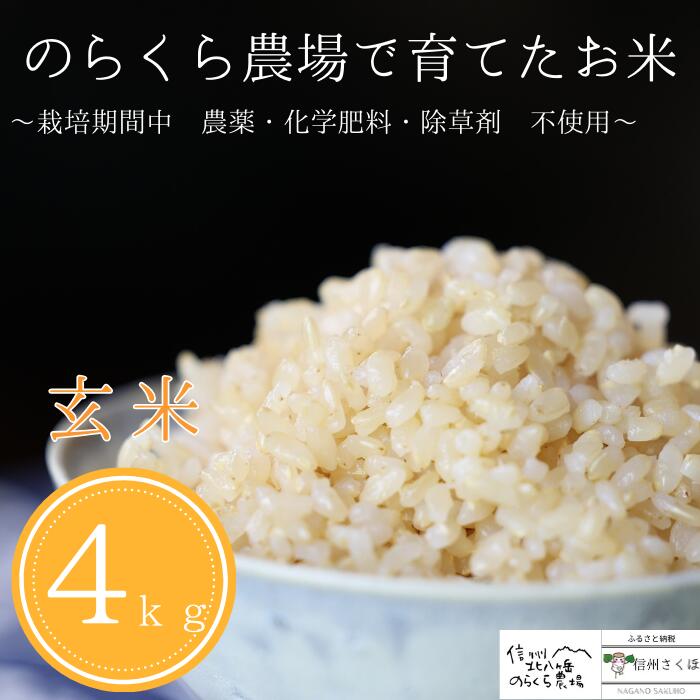 【ふるさと納税】無農薬栽培米　のらくら農場で育てたお米　玄米　4キロ〔NK-15〕栽培期間中、農薬・化学肥料・除草剤一切使っておりません　4kg
