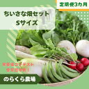 【ふるさと納税】定期便3カ月 有機野菜ちいさな畑セット(Sサイズ 1~2人前)(NK-T519)
