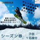 【ふるさと納税】2024-2025シーズン 八千穂高原スキー場 シーズン券 子ども 1名様〔AD-12〕