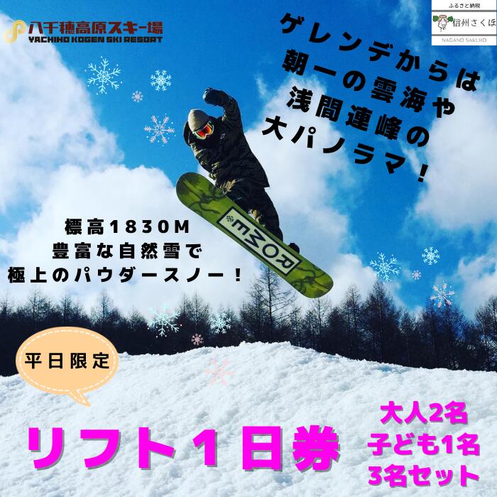 白馬八方尾根スキー場 大人1日券【C028-01】| ふるさと納税バイブル